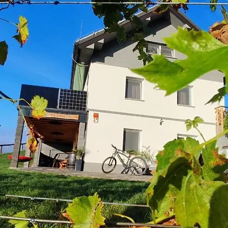 Appartamento Apartmaji Gracner Dramlje