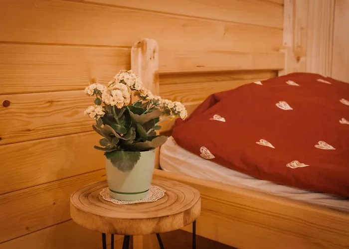 شقة Apartmaji Gracner *